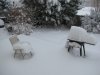 snow storm 11-25-19 007.JPG