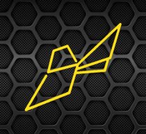 Ace Bee